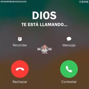 Meet your Posher, Dalila